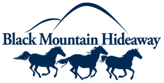 blackmountainlogo